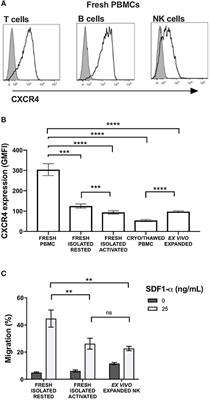 Enhanced Bone Marrow Homing of Natural Killer Cells Following mRNA Transfection With Gain-of-Function Variant CXCR4R334X